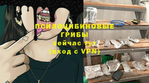 ГАЛЛЮЦИНОГЕННЫЕ ГРИБЫ Абинск