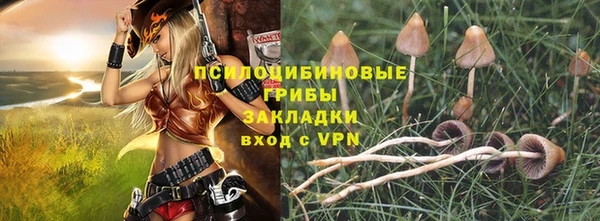 ГАЛЛЮЦИНОГЕННЫЕ ГРИБЫ Абинск