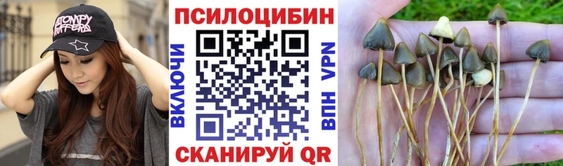 Галлюциногенные грибы GOLDEN TEACHER  Туран 