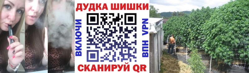 Бошки Шишки планчик  где купить наркотик  OMG сайт  Туран 